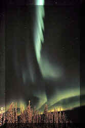 nl41a.jpg (20237 bytes)